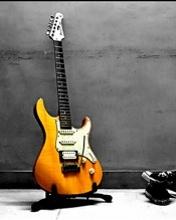 Elektricna gitara