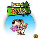 Crazy Cats